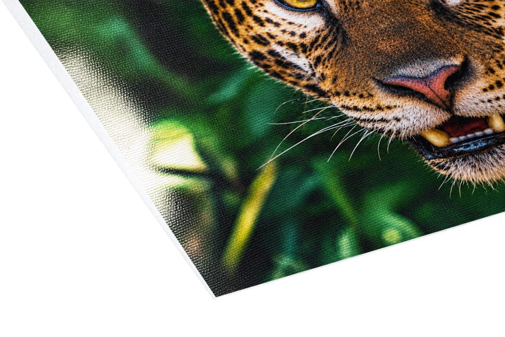Metallic Pearl Canvas 1490
