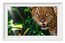 Gloss Canvas 1465