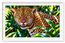 Metallic Gloss Photo Paper ARTPMG