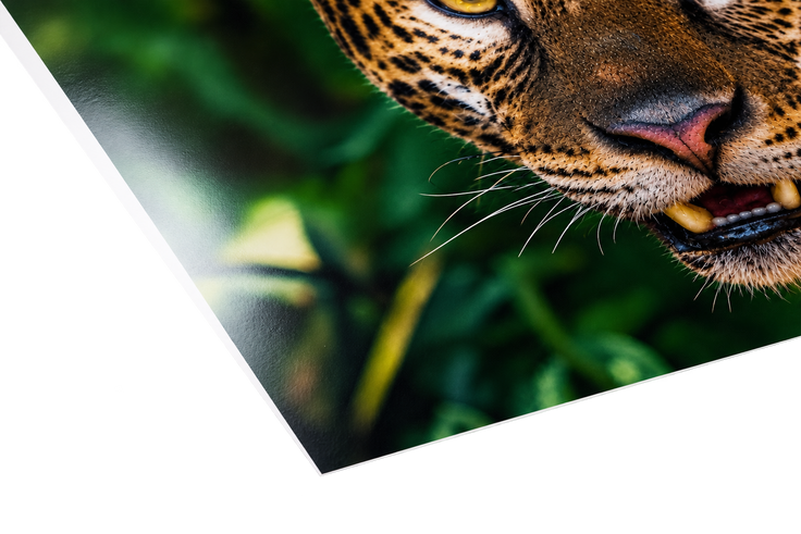 Satin Photo Paper 1235