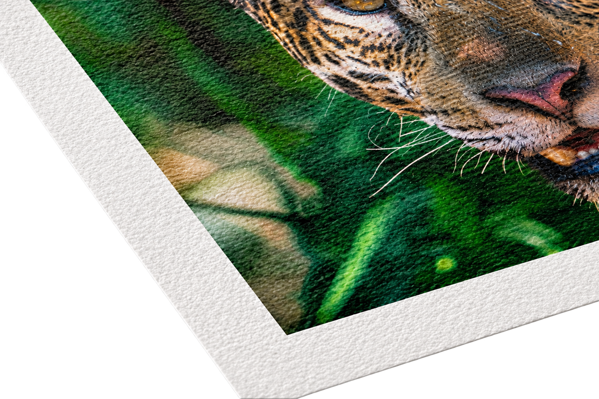 Cold Press Bright Matte Paper ARTCPB