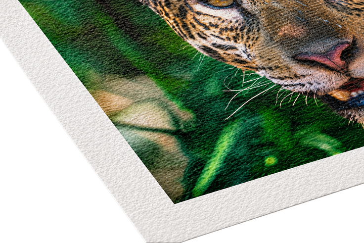 Cold Press Bright Matte Paper ARTCPB