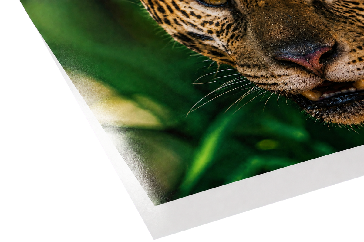 Luster Photo Paper 1275