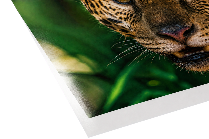Luster Photo Paper 1275