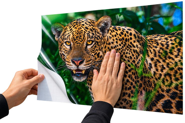 Gloss Adhesive Vinyl 1335