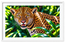 Permanent Matte Vinyl ART1320