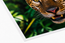 Matte Photo Paper 1120