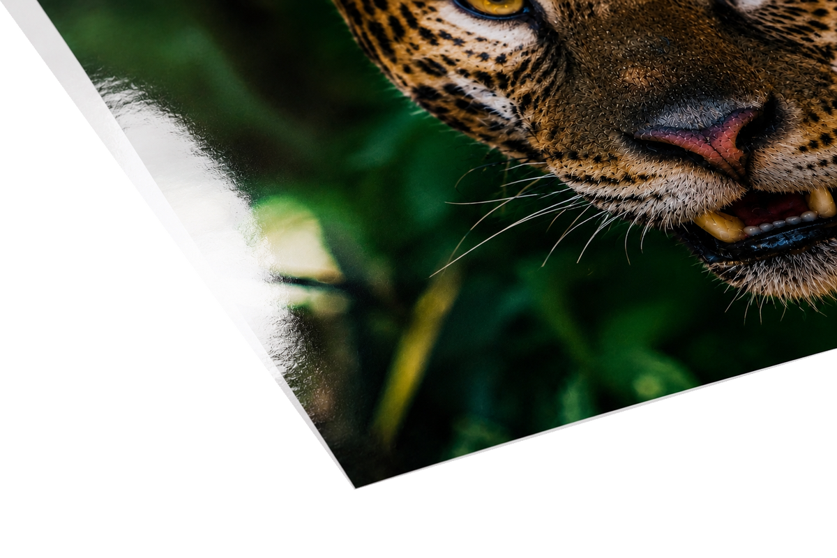 Gloss Photo Paper 1245