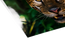 Gloss Photo Paper 1245