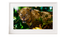 Gloss Photo Paper 1245